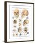 The Skull-null-Framed Art Print