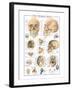 The Skull-null-Framed Art Print