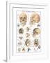 The Skull-null-Framed Art Print