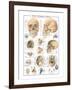 The Skull-null-Framed Art Print