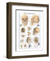 The Skull-null-Framed Art Print