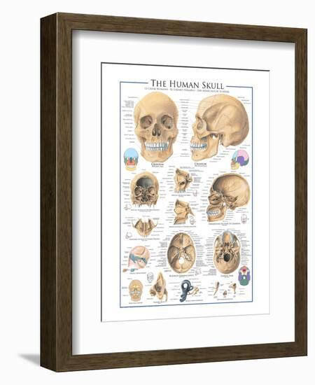 The Skull-null-Framed Art Print