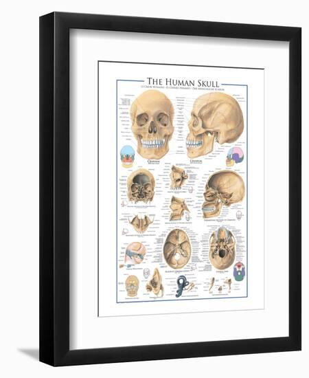 The Skull-null-Framed Art Print