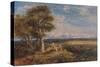 The Skylark, 1848-David Cox the elder-Stretched Canvas