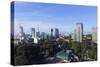 The Skyline of the Downtown Area-Stuart Forster-Stretched Canvas