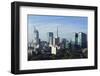 The Skyline of the Downtown Area-Stuart Forster-Framed Photographic Print