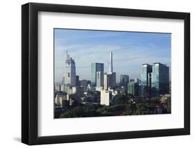 The Skyline of the Downtown Area-Stuart Forster-Framed Photographic Print