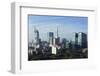 The Skyline of the Downtown Area-Stuart Forster-Framed Photographic Print