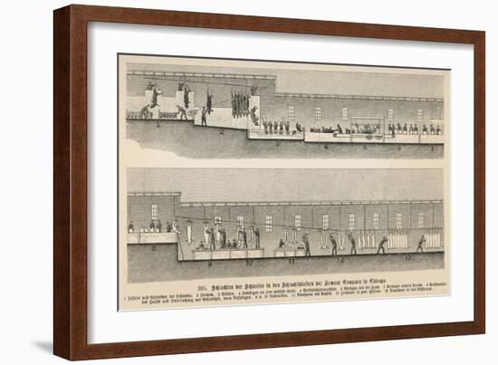 The Slaughter Process from Pig to Pork at Armour's Chicago Plant-null-Framed Art Print