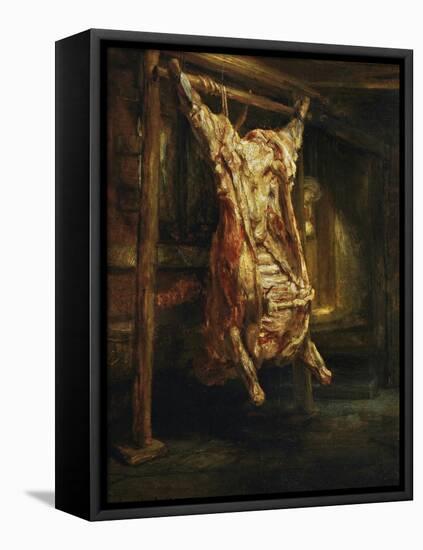 The Slaughtered Ox, 1655-Rembrandt van Rijn-Framed Stretched Canvas