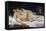 The Sleepers also known as the Sleep (Le Sommeil) by Gustave Courbet-null-Framed Stretched Canvas