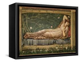 The Sleeping Beauty, 1871-Edward Burne-Jones-Framed Stretched Canvas