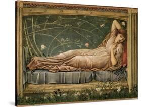 The Sleeping Beauty, 1871-Edward Burne-Jones-Stretched Canvas