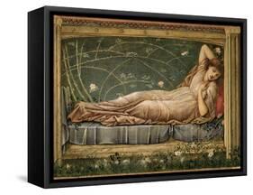 The Sleeping Beauty, 1871-Edward Burne-Jones-Framed Stretched Canvas