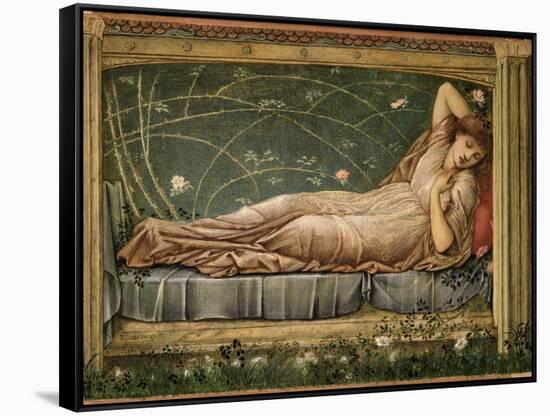 The Sleeping Beauty, 1871-Edward Burne-Jones-Framed Stretched Canvas