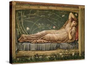 The Sleeping Beauty, 1871-Edward Burne-Jones-Stretched Canvas