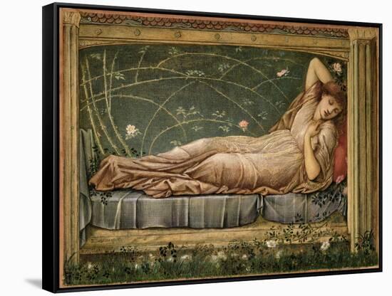 The Sleeping Beauty, 1871-Edward Burne-Jones-Framed Stretched Canvas