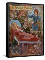 The Sleeping Beauty, Fairy Tales Children's Books Pantomimes Posters, UK, 1910-null-Framed Stretched Canvas