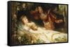 The Sleeping Beauty-Richard Eisermann-Framed Stretched Canvas