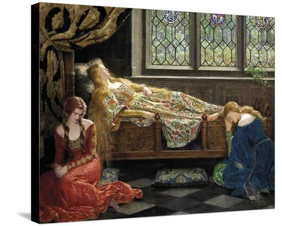 Stretched Canvas Print, , large