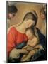 The Sleeping Christ Child-Giovanni Battista Salvi da Sassoferrato-Mounted Giclee Print