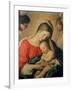 The Sleeping Christ Child-Giovanni Battista Salvi da Sassoferrato-Framed Giclee Print