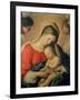 The Sleeping Christ Child-Giovanni Battista Salvi da Sassoferrato-Framed Giclee Print