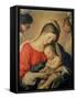 The Sleeping Christ Child-Giovanni Battista Salvi da Sassoferrato-Framed Stretched Canvas