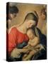 The Sleeping Christ Child-Giovanni Battista Salvi da Sassoferrato-Stretched Canvas