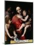 The Sleeping Christ, or Madonna and Sleeping Child with Three Angels, 1532-Bernardino Luini-Mounted Giclee Print