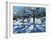 The Slide in Winter, Bourg, St Moritz-Andrew Macara-Framed Giclee Print
