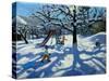 The Slide in Winter, Bourg, St Moritz-Andrew Macara-Stretched Canvas