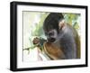 The Small Amazon-Luis Aguirre-Framed Giclee Print