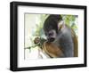 The Small Amazon-Luis Aguirre-Framed Giclee Print