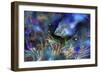 The  Small Blue Fish-RUNA-Framed Giclee Print