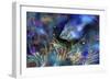 The  Small Blue Fish-RUNA-Framed Giclee Print