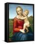 The Small Cowper Madonna by Raphael-null-Framed Stretched Canvas