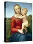 The Small Cowper Madonna by Raphael-null-Stretched Canvas