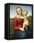 The Small Cowper Madonna, C.1505-Raphael-Framed Stretched Canvas