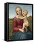 The Small Cowper Madonna, C. 1505-Raphael Sanzio da Urbino-Framed Stretched Canvas
