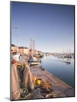 The Small Fishing Port of Saint Vaast La Hougue, Cotentin Peninsula, Normandy, France, Europe-Julian Elliott-Mounted Photographic Print