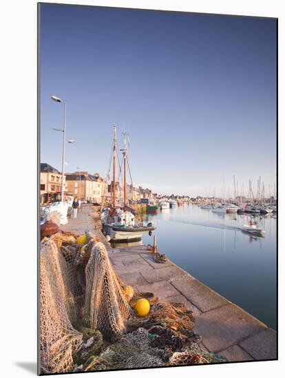 The Small Fishing Port of Saint Vaast La Hougue, Cotentin Peninsula, Normandy, France, Europe-Julian Elliott-Mounted Photographic Print