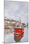 The Small Fishing Village of Mevagissey in Cornwall, England, United Kingdom, Europe-Julian Elliott-Mounted Photographic Print