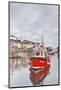 The Small Fishing Village of Mevagissey in Cornwall, England, United Kingdom, Europe-Julian Elliott-Mounted Photographic Print