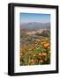 The Small Hill Town of Calascibetta Seen from Enna, Sicily, Italy, Europe-Martin Child-Framed Photographic Print