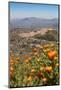 The Small Hill Town of Calascibetta Seen from Enna, Sicily, Italy, Europe-Martin Child-Mounted Photographic Print