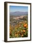 The Small Hill Town of Calascibetta Seen from Enna, Sicily, Italy, Europe-Martin Child-Framed Photographic Print