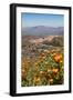 The Small Hill Town of Calascibetta Seen from Enna, Sicily, Italy, Europe-Martin Child-Framed Photographic Print