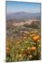 The Small Hill Town of Calascibetta Seen from Enna, Sicily, Italy, Europe-Martin Child-Mounted Photographic Print