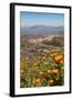 The Small Hill Town of Calascibetta Seen from Enna, Sicily, Italy, Europe-Martin Child-Framed Photographic Print